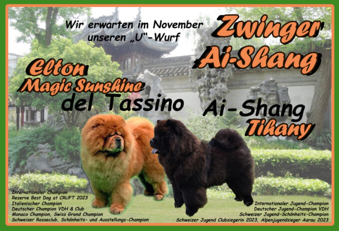 Ai-Shang – erwartet Anfang November